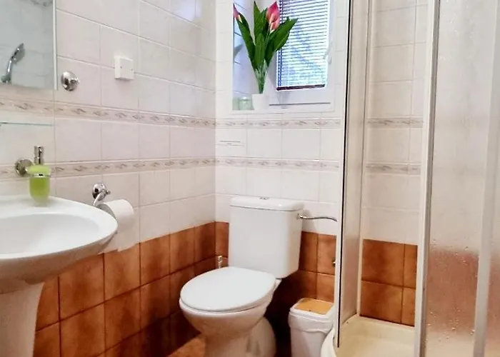 Lieskovec - V Lese Blizko Zubacky * タトランスカー・シュトゥルバ