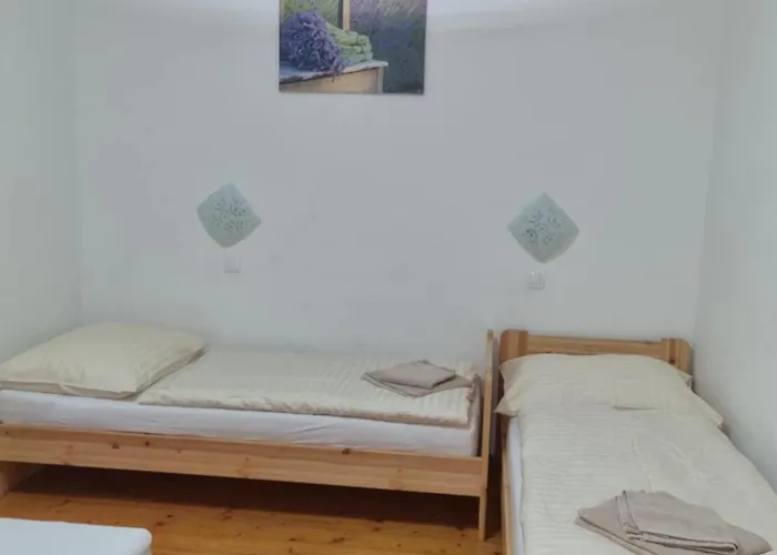 Lieskovec - V Lese Blizko Zubacky *